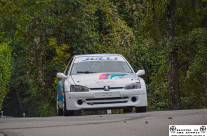 23° rally del Ticino